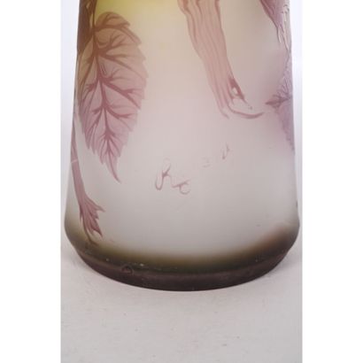 RICHARD. VASE in acid-etched glass decorated...