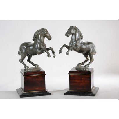 RARE PAIRE DE CHEVAUX LOUIS XIV en plomb....