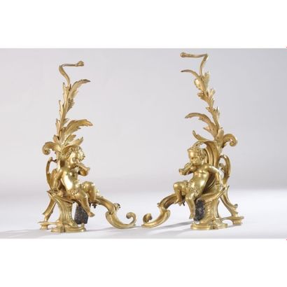 PAIRE DE CHENETS LOUIS XV en bronze à patine...