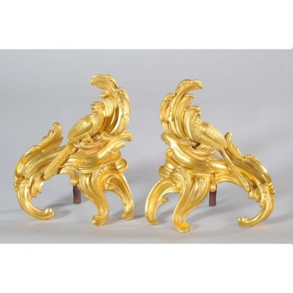 PAIRE DE CHENETS LOUIS XV aux perroquets...