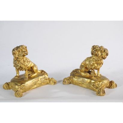 PAIRE DE SUJETS en bronze à patine dorée...