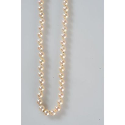 COLLIER 1 rang de perles de culture. Fermoir...