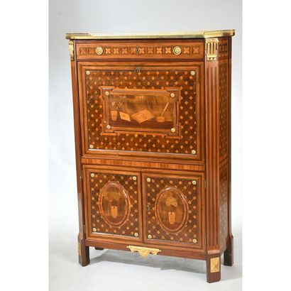 EXCEPTIONNEL SECRETAIRE LOUIS XVI en placage...