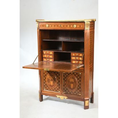 EXCEPTIONNEL SECRETAIRE LOUIS XVI en placage...
