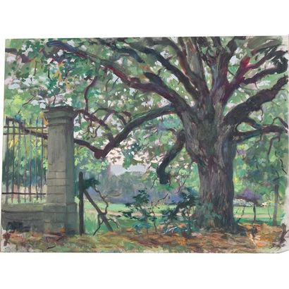 JONAS Lucien. (1880-1947). « Le vieux chêne...