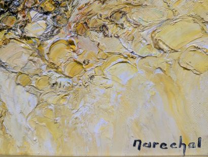 Francis MARECHAL (1950)
