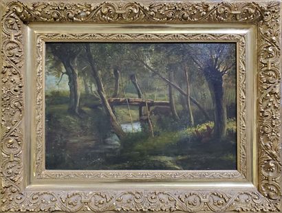Vassili V. CHEREMETEV (1829-?)
