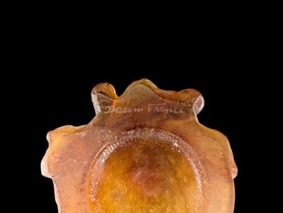 DAUM France 
Glass or vase, base in orange...