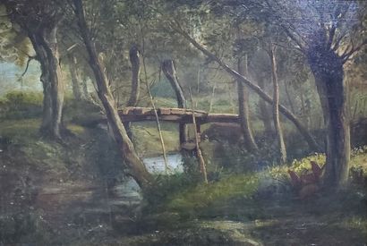 Vassili V. CHEREMETEV (1829-?)
