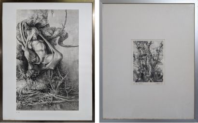 ESTAMPES, two works :

- Daniel GASSER (1948)...