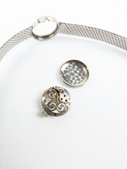 COSMOS
Montre bracelet dame en or blanc 750...