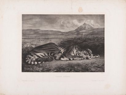 EUGENE DELACROIX (1788-1863)
Tigre royal....