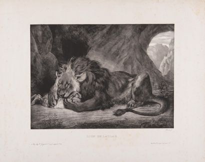 EUGENE DELACROIX (1788-1863)
Tigre royal....