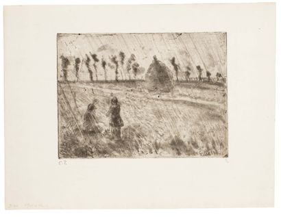 Camille PISSARRO (1830-1903)
Effet de pluie....