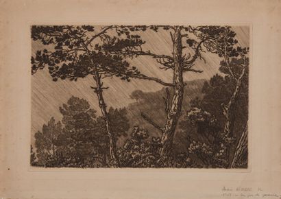 Henri RIVIERE (1864-1951)
Les pins dans la...