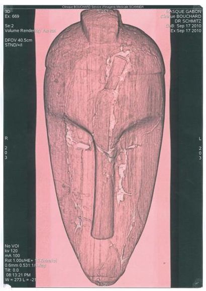 Masque de la société NGIL (NGI ou NGYI) FANG...