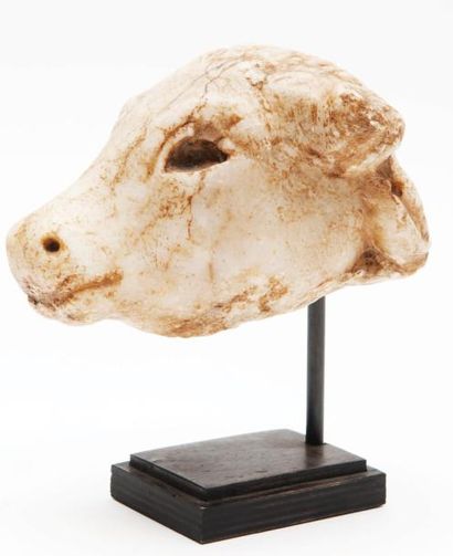 Tête de taureau En albâtre. Pelage bouclé...