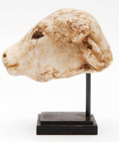 Tête de taureau En albâtre. Pelage bouclé...