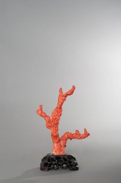 CHINE
Sujet en corail rouge figurant trois...