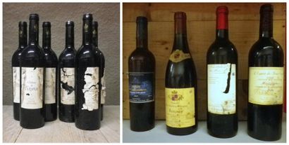 10 Bouteilles VINS DE LANGUEDOC: 1 Bouteille...