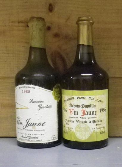 1 Bouteille VIN JAUNE 1985 - MICHEL GENELETTI...
