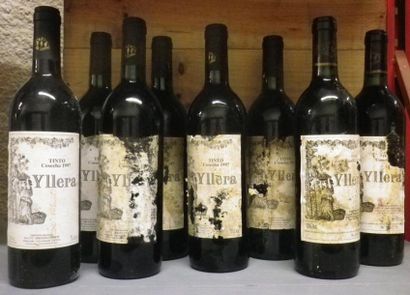 8 Bouteilles VINS ESPAGNE RUEDA CASTILLA...