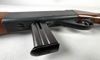 **Catégorie B.** Carabine à répétition semi-automatique...
