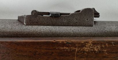 Fusil Remington Rolling Block « Egyptien...