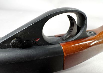 **Catégorie B.** Carabine à répétition semi-automatique...