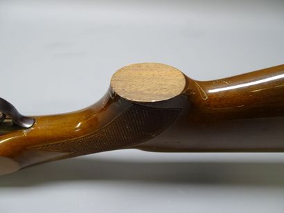 **Catégorie C.** Fusil ARMITECHNICHE diffusé...