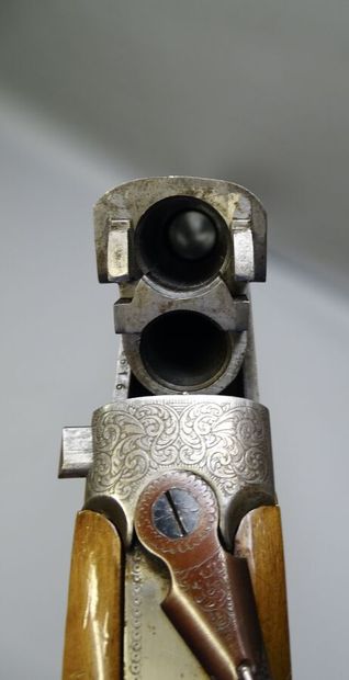 **Catégorie C.** Fusil ARMITECHNICHE diffusé...
