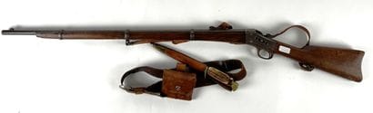 Fusil Remington Rolling Block « Egyptien...