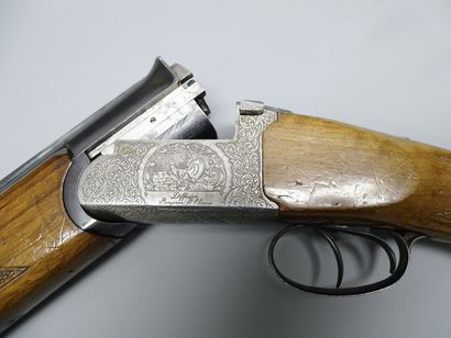 **Catégorie C.** Fusil ARMITECHNICHE diffusé...