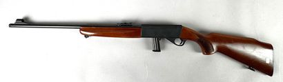 **Catégorie B.** Carabine à répétition semi-automatique...