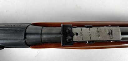 **Catégorie B.** Carabine à répétition semi-automatique...