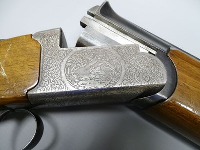**Catégorie C.** Fusil ARMITECHNICHE diffusé...
