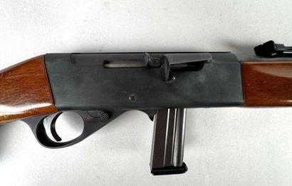 **Catégorie B.** Carabine à répétition semi-automatique...