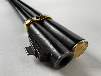 **Catégorie C.** Une carabine levier de sous-garde...