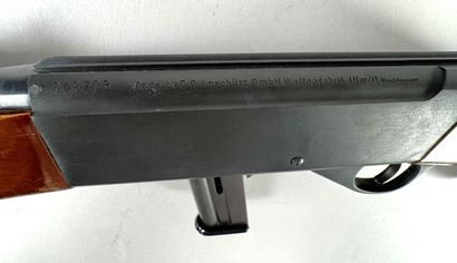 **Catégorie B.** Carabine à répétition semi-automatique...