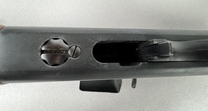 **Catégorie B.** Carabine à répétition semi-automatique...