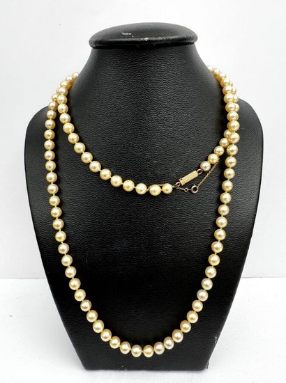 Collier de perles de culture, fermoir or...
