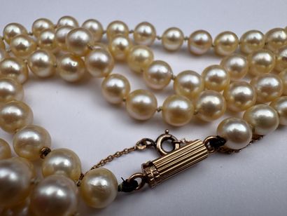 Collier de perles de culture, fermoir or...
