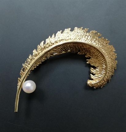 Broche 
