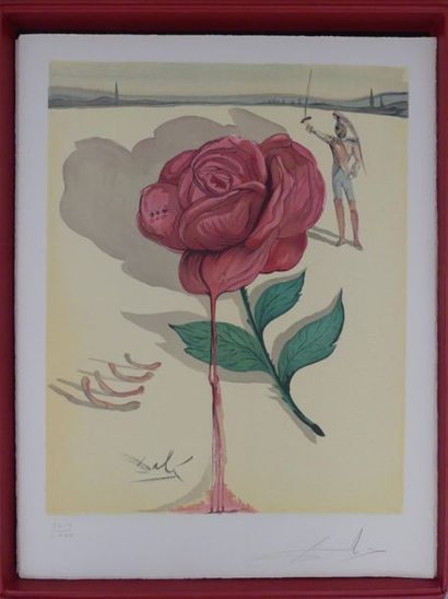 DALI (Salvador). 25 LITHOGRAPHS OF ORIGINAL...