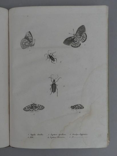 [ATLAS]. ACERBI (Joseph). VOYAGE AU CAP-NORD,...