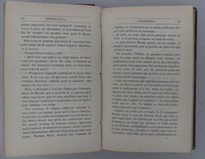VERNE (Jules). L'ÉTOILE DU SUD Le pays des...