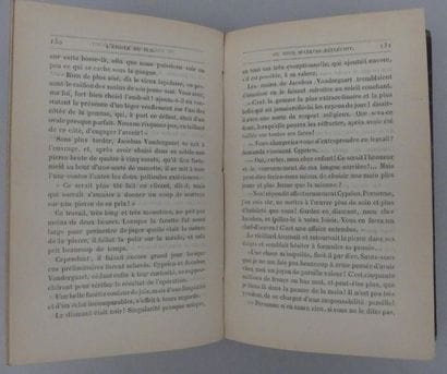VERNE (Jules). L'ÉTOILE DU SUD Le pays des...