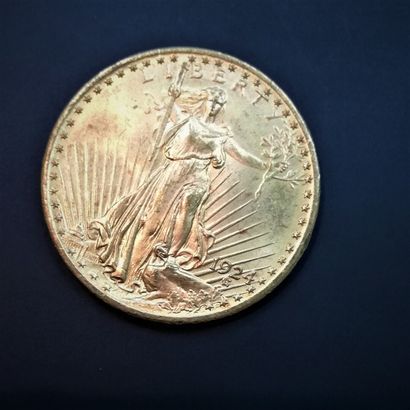 1 Pièce de 20 Dollars or 1924