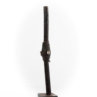 FON- BENIN 

Ritual magic stick, with charge...