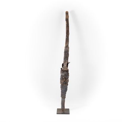 FON - BENIN 

Large magic stick used in consultations....